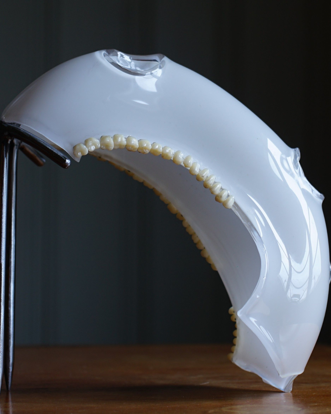 Ida Siebke Creates “Independent Beings” from Glass Inspired by Taboos and Trauma